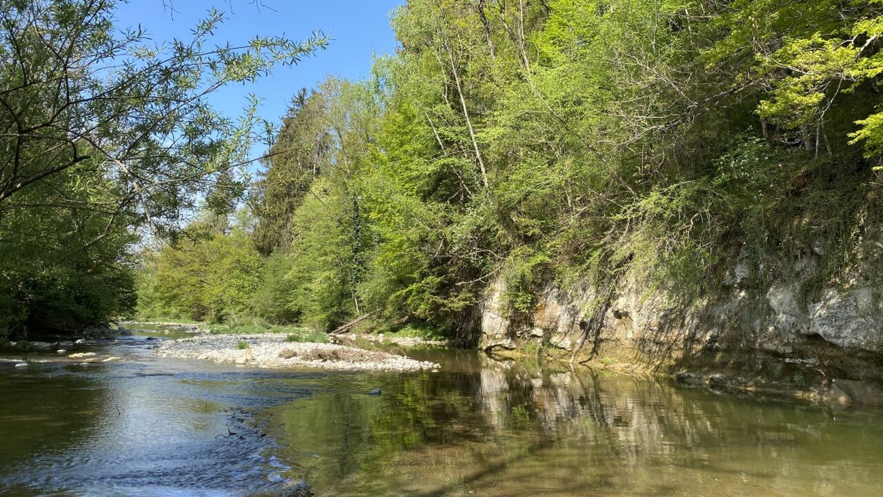 Das Oberschwäbische Allgäu – Entwicklung und Erhalt einer Kulturlandschaft zwischen Tradition und Zukunft