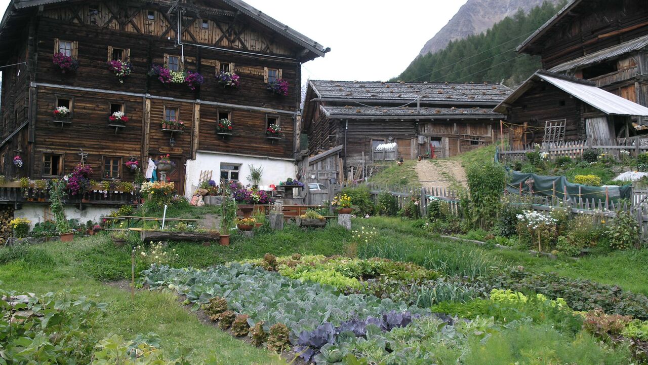 Vinschgau und Nationalpark Stilfserjoch – Chancen und Bedrohung einer faszinierenden Natur- und Kulturlandschaft