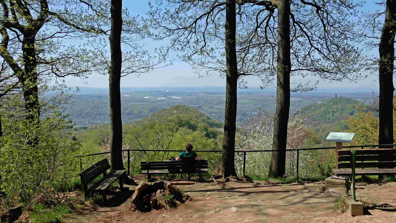 Das Siebengebirge – wertvolle Natur- und Kulturlandschaft zwischen Schutz und Nutzung