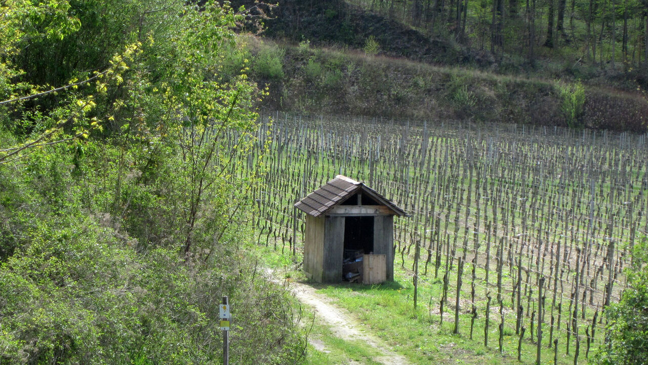 Der Kaiserstuhl – Erhalt und Entwicklung einer wertvollen Kulturlandschaft
