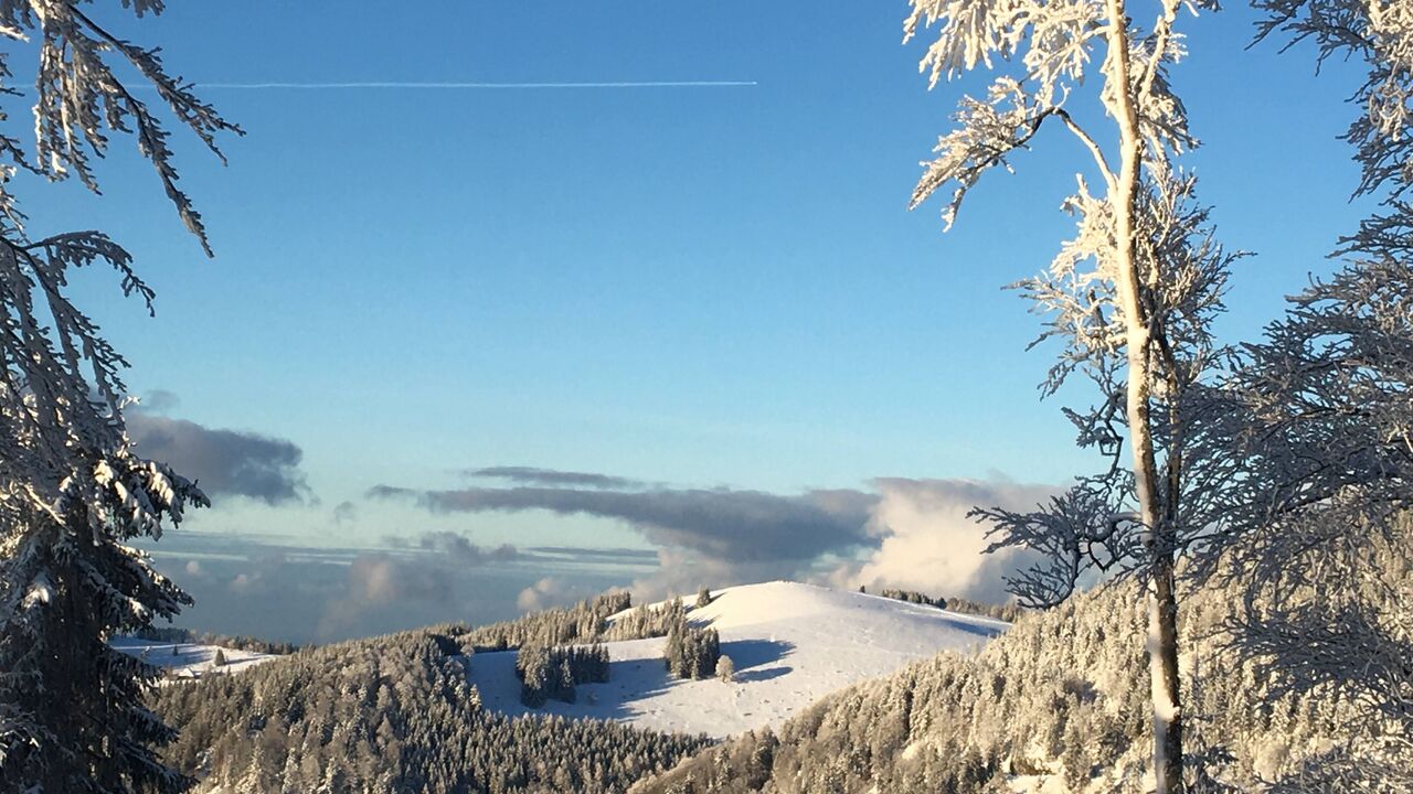 Mehr Balance und Energie im Berufsalltag durch Yoga, Qigong und die fünf Elemente.
