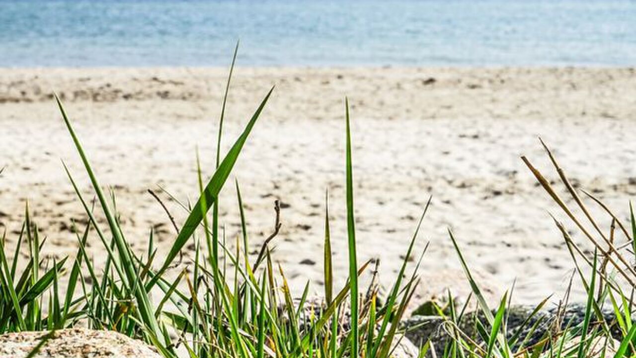 Intuition oder Intellekt? Wie treffe ich meine Entscheidungen?