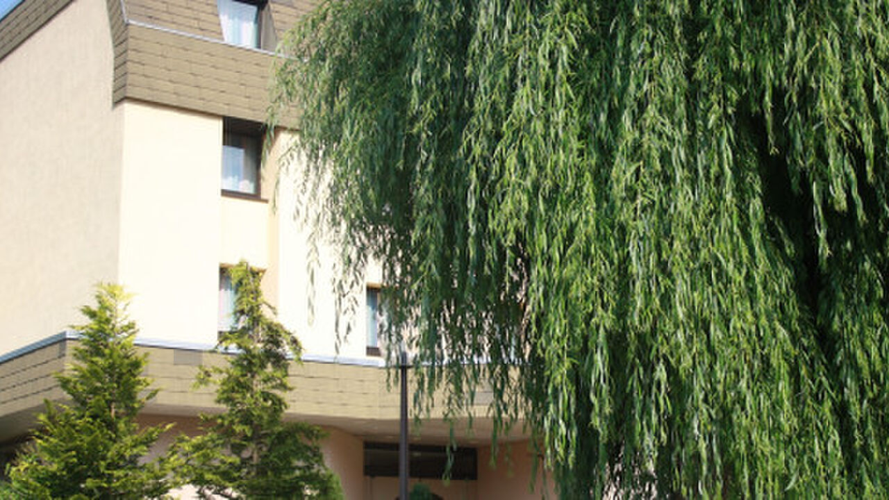 Das Team im Rhythmus – Entscheidungsprozesse und achtsame Kommunikation