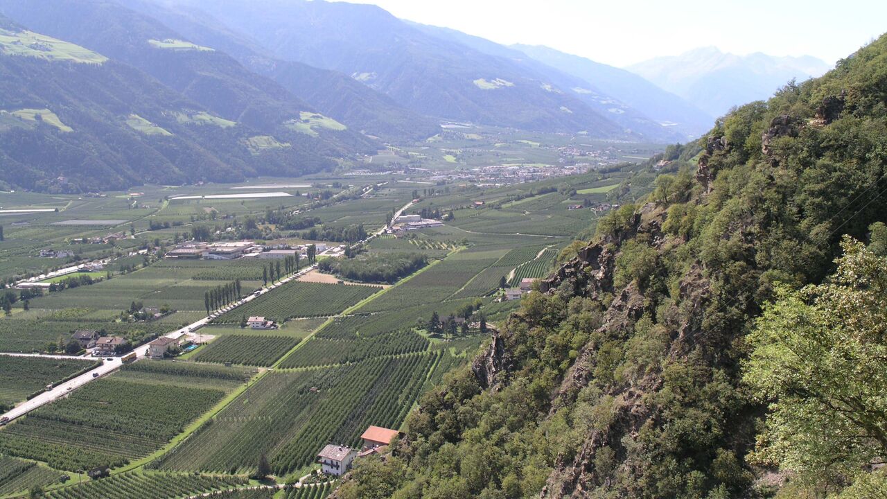 Vinschgau und Nationalpark Stilfserjoch – Chancen und Bedrohung einer faszinierenden Natur- und Kulturlandschaft