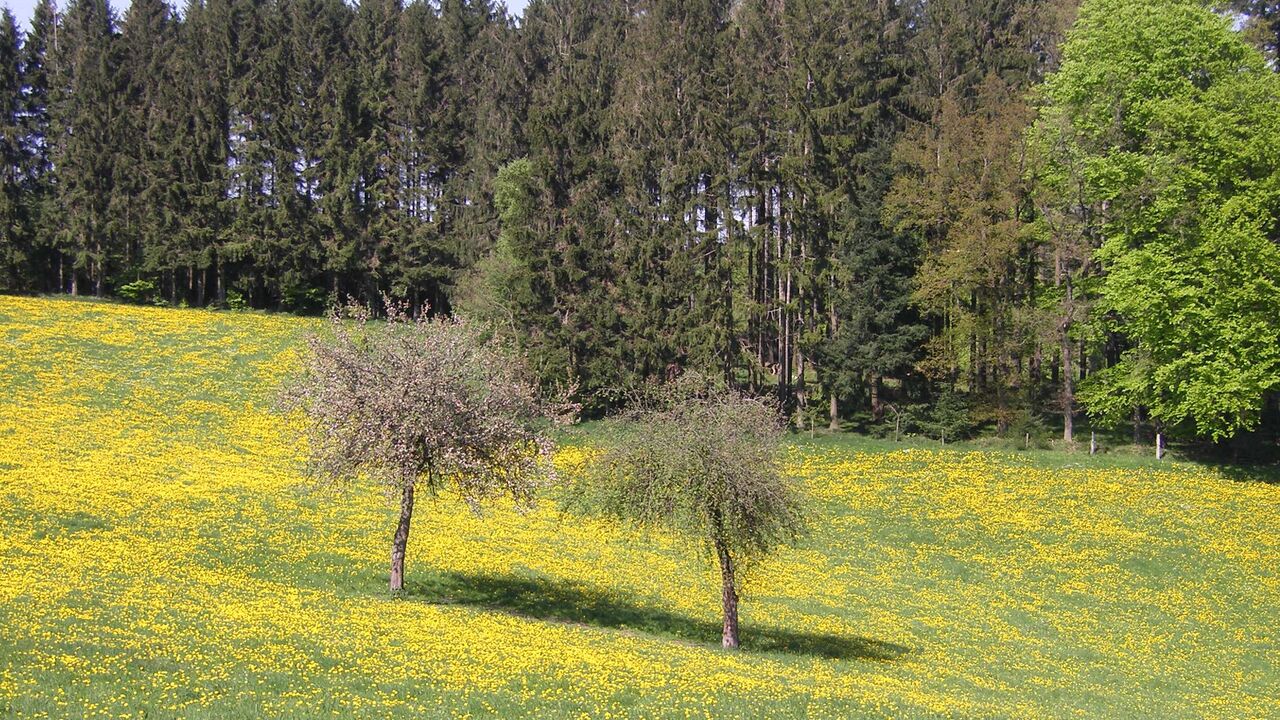 Ruhestand – Entdecke Deine Möglichkeiten