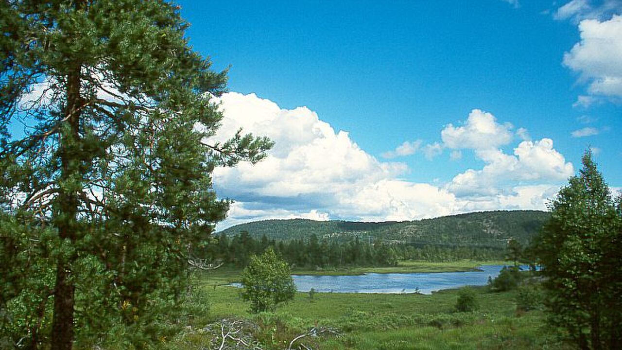 Schärengarten Südnorwegen – sanfter Tourismus an der „Riviera Norwegens“