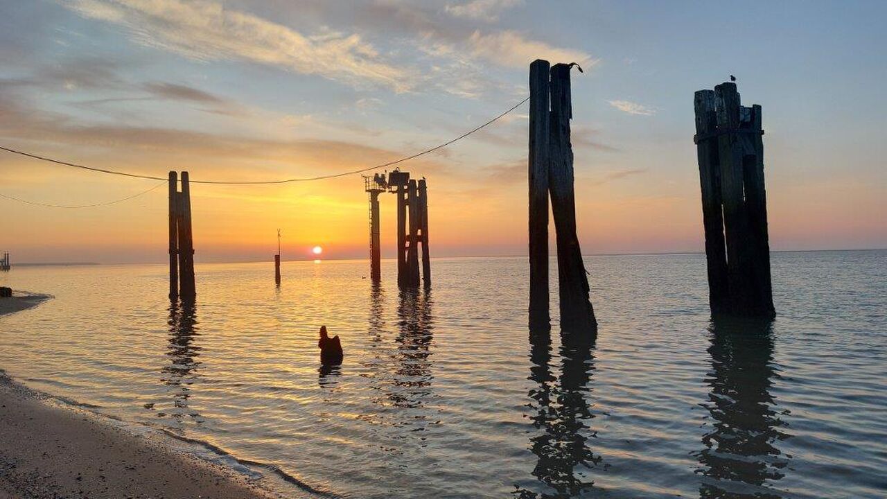 Norderney: Eine ostfriesische Insel zwischen Naturschutz und menschlicher Nutzung