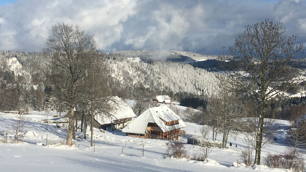 Vom Konflikt zur Verständigung und Kooperation – Intensiv-Einführung in die Gewaltfreie Kommunikation nach Marshall Rosenberg