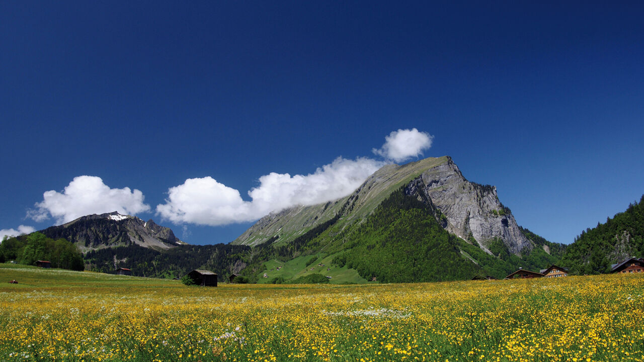 Modellregion Bregenzerwald – zukunftsfähiger Klima- und Naturschutz in Vorarlberg