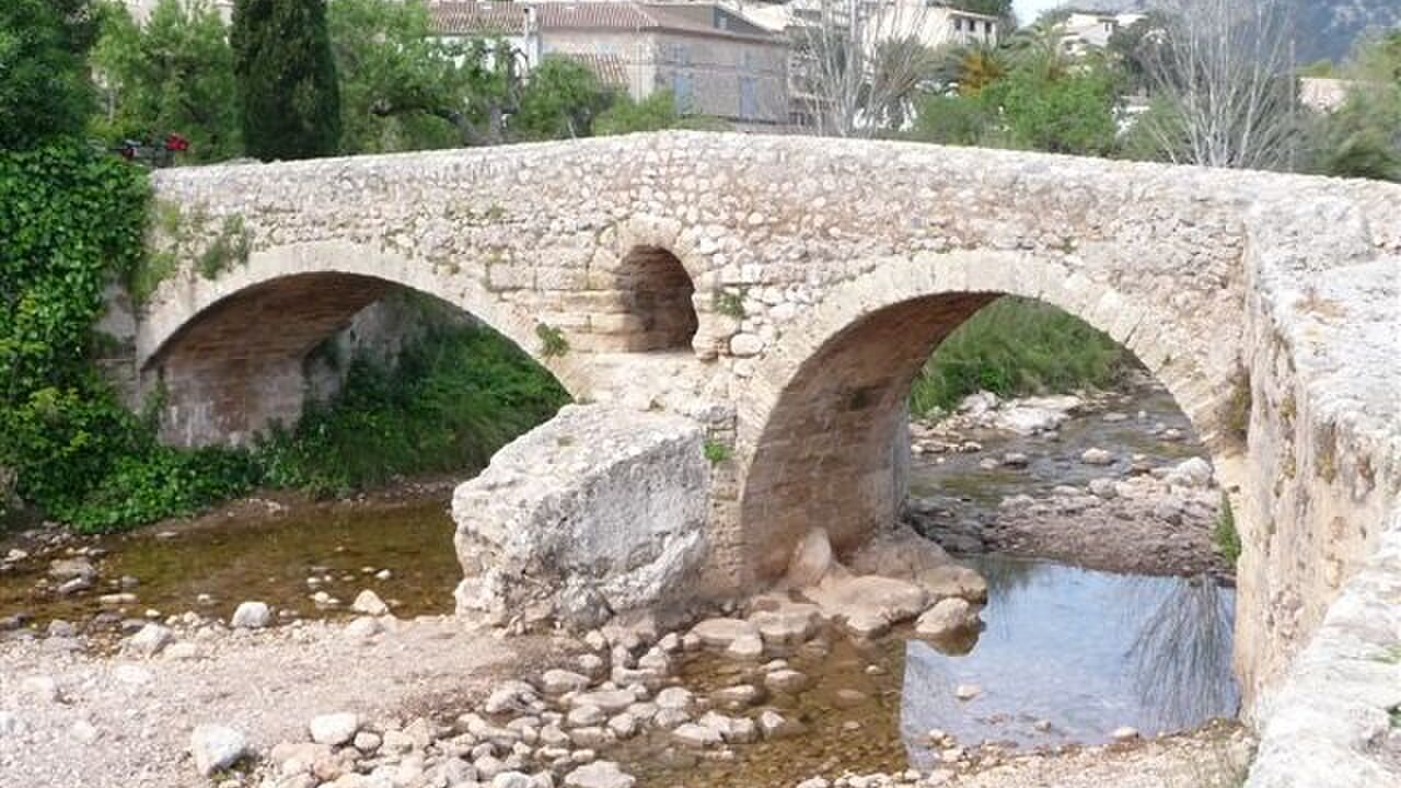 Trauminsel Mallorca?! – Die 