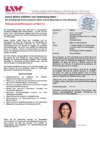 Flyer 800427.pdf