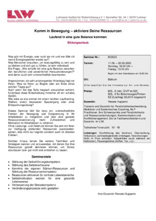 Flyer 803523.pdf