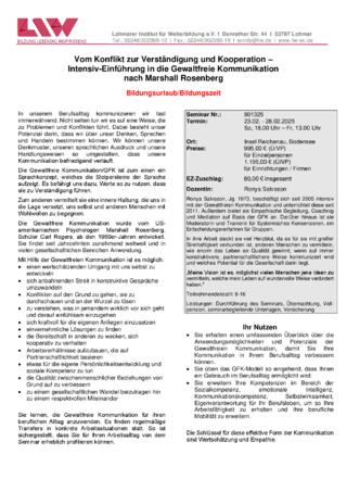 Flyer-801325.pdf