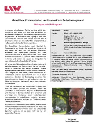 Flyer-801527.pdf