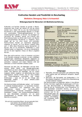Flyer-803023.pdf