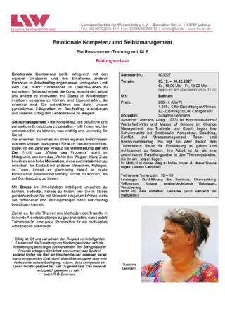 Flyer-803227.pdf