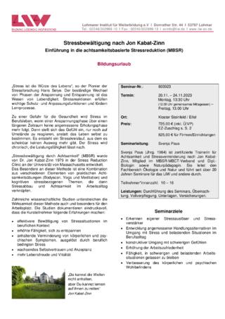 Flyer-803923.pdf