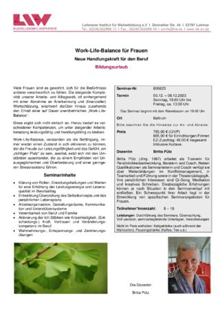 Flyer-806623.pdf