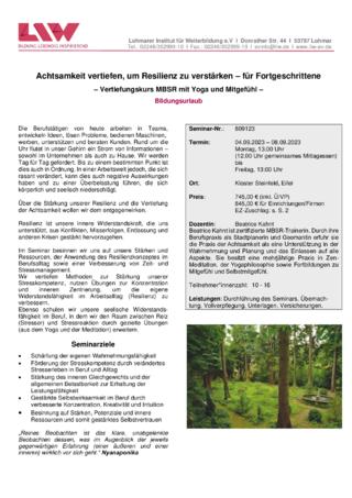 Flyer-809123.pdf