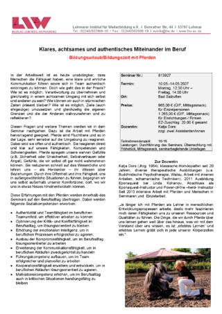 Flyer-813927.pdf