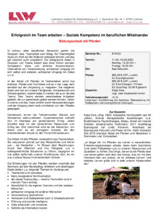 Flyer-814423.pdf