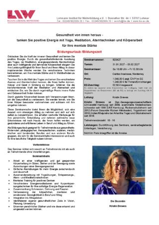 Flyer-820427.pdf