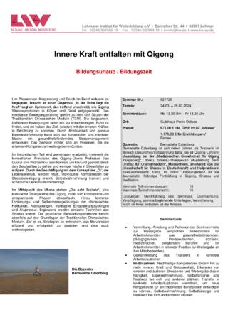 Flyer-821725.pdf