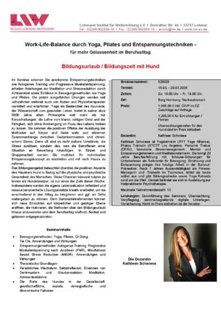 Flyer-826026.pdf