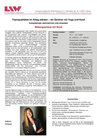 Flyer-826223.pdf