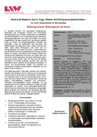 Flyer-826227.pdf