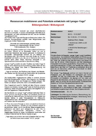 Flyer-828527.pdf