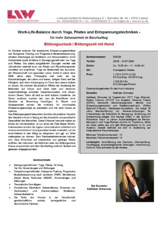 Flyer-835326.pdf