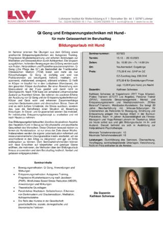 Flyer-837923.pdf