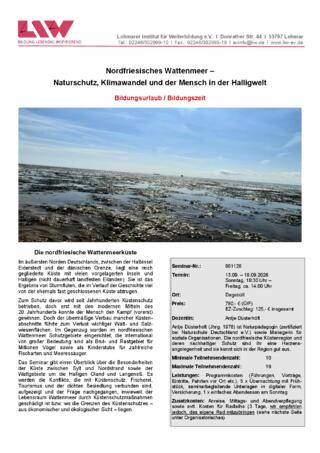 Flyer-861126.pdf