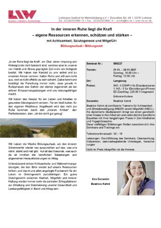 Flyer-890227.pdf