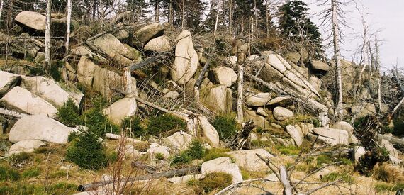 Nationalpark Harz Header