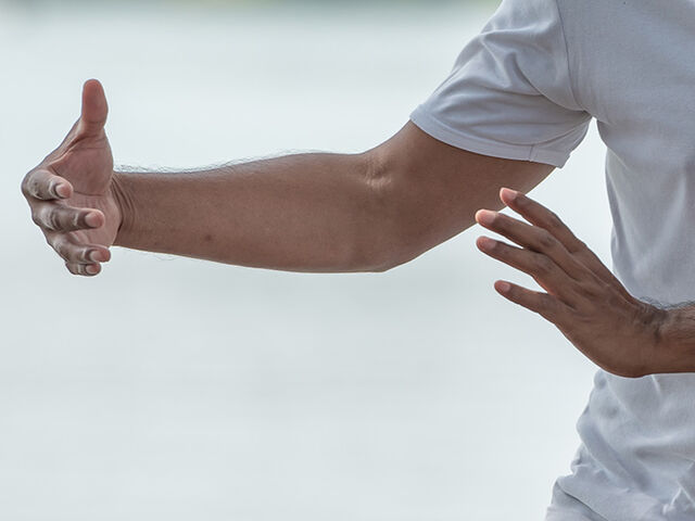 Tai Chi / Qi Gong
