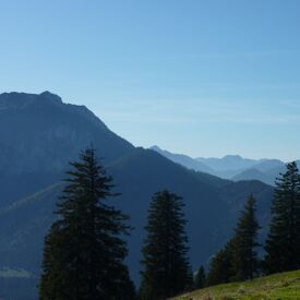 Schweiz und Österreich