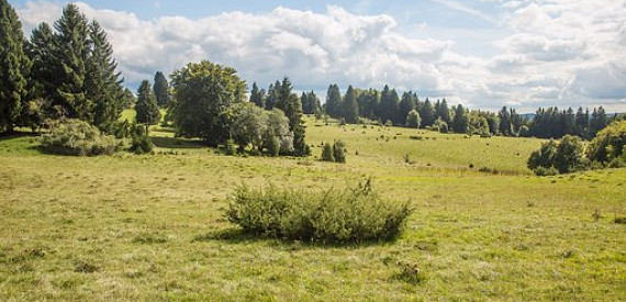 Biosphärengebiet Schwäbische Alb und das Obere Donautal
