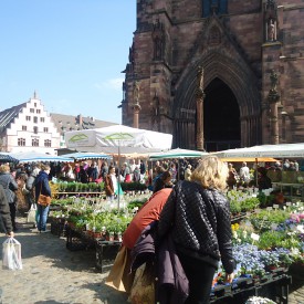 Freiburg - Deutschlands grüner Süden