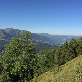 Klimaanpassungsregion Bregenzerwald – enkeltaugliche Strategien in den Alpen