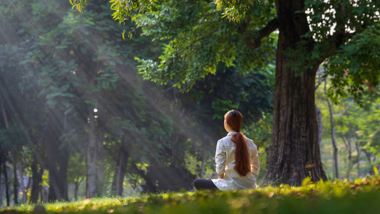 Stressbalance durch Achtsamkeit im Berufsleben