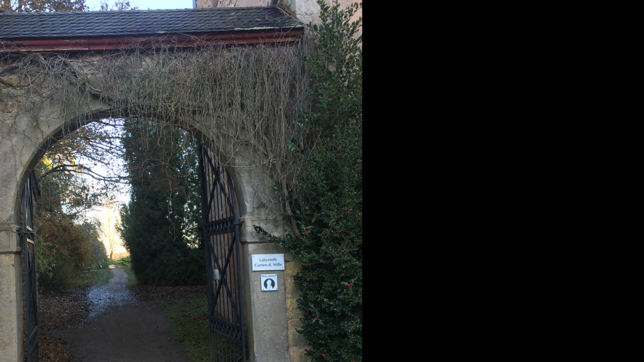 Systemisches Coaching in der Beratung