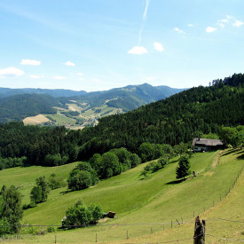 Der mittlere Schwarzwald: Eine ländliche Region zwischen Tradition und Moderne