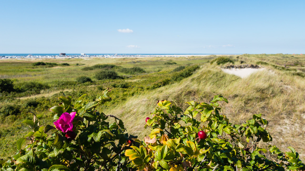Entspannt und kompetent in schwierigen Situationen
