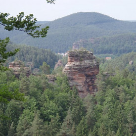 Pfälzerwald und Nordvogesen – ein grenzüberschreitendes Biosphärenreservat