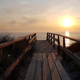 Leichtigkeit & Beweglichkeit mit Yoga und Sensomotorics®