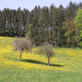 Ruhestand – Entdecke Deine Möglichkeiten