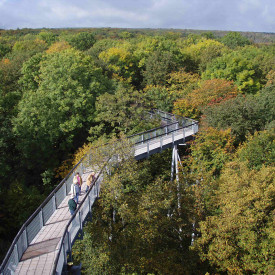 Nationalpark Hainich - Schutz für den „Urwald mitten in Deutschland“
