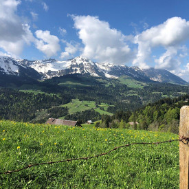 Modellregion Bregenzerwald – zukunftsfähiger Klima- und Naturschutz in Vorarlberg